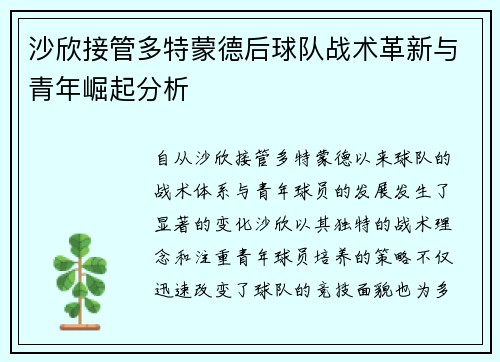 沙欣接管多特蒙德后球队战术革新与青年崛起分析 沙欣接管多特蒙德后球队战术革新与青年崛起分析